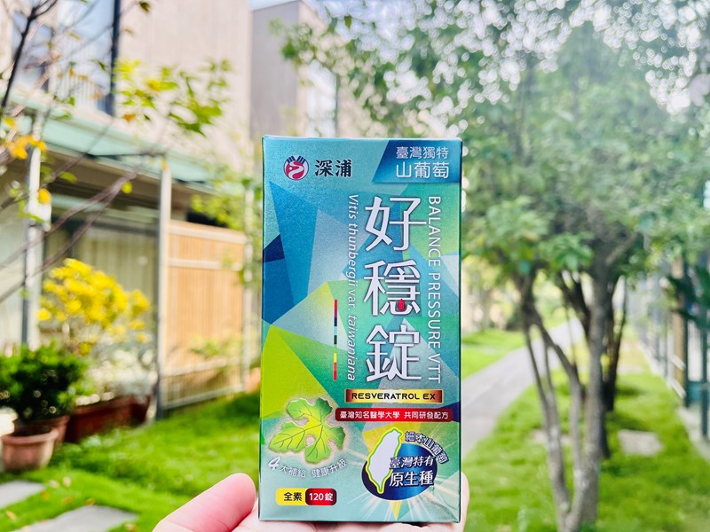 試用